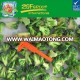 High-quality Brand Green Frozen Broccoli by pro of safe and healthy food