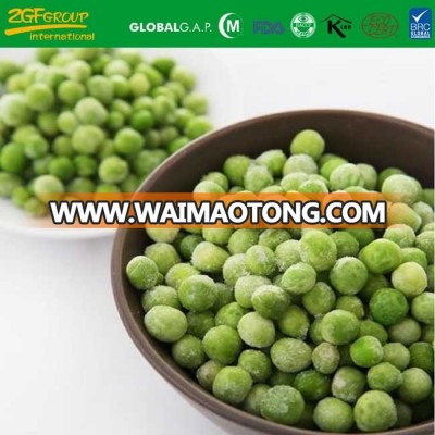 high quality new season fresh IQF green pea for sale carton packing