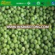 high quality new season fresh IQF green pea for sale carton packing