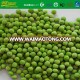 high quality new season fresh IQF green pea for sale carton packing