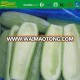 IQF frozen scooped zucchini