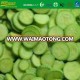 IQF frozen green skin zucchini sliced