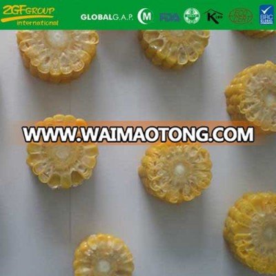 Grade A IQF sweet corn on sale