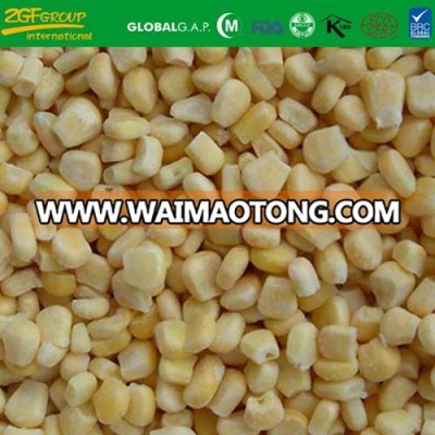 Grade A IQF sweet corn on sale