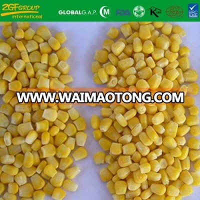 Grade A IQF sweet corn on sale