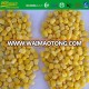 Grade A IQF sweet corn on sale