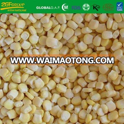 Grade A IQF sweet corn on sale