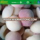 New Season iqf frozen fruit white peach