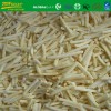 IQF Bamboo Shoots strips