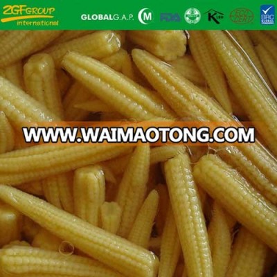 canned baby corn canned young corn