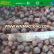 IQF frozen black currant grade A from China