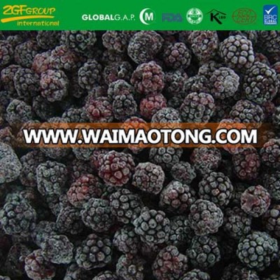 high quality new season blackberry carton packing