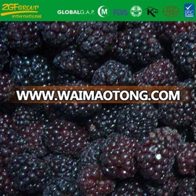 frozen fresh blackberry style