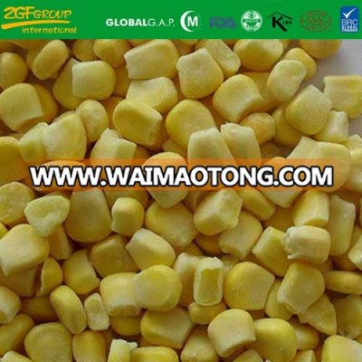 Grade A IQF sweet corn on sale