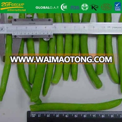 High Quality IQF wholesale green beans