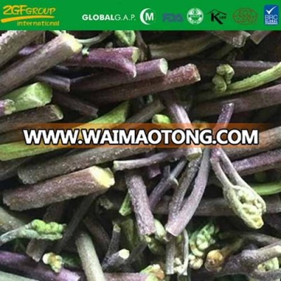 wild organic fiddlehead green vegetables healthy food