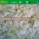 chinese fresh cabbage supplier/vegetable exporter in china