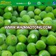 sianzan china manufactures high quality frozen figs