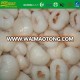 sweet taste IQF fruit litchi ISO