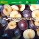 China frozen plum price