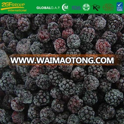 2018 frozen new crop blackberry four season foods supply