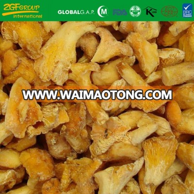frozen wild chanterelles mushrooms