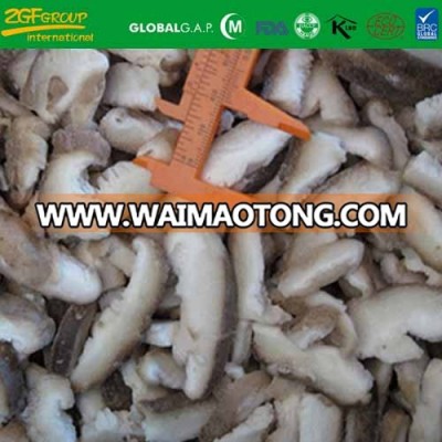 IQF frozen cross cut shiitake mushroom