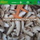 IQF frozen cross cut shiitake mushroom