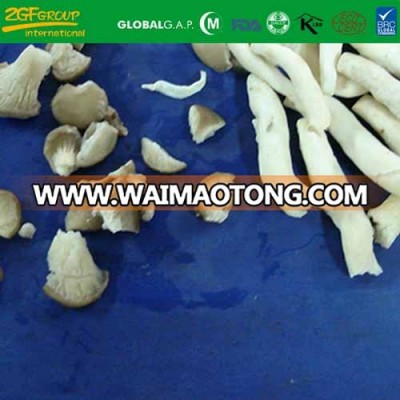 China good delicious fresh raw material IQF shimeji mushroom