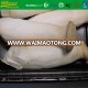 New Crop Fresh pleurotus eryngii Mushroom