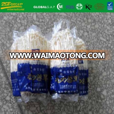 New Crop Fresh Needle Mushroom