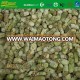 IQF frozen wasabi root