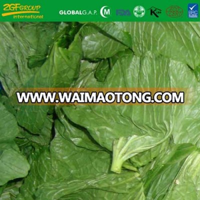 IQF frozen fresh wasabi leaf
