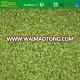 IQF frozen wasabi stem 3mm cut size