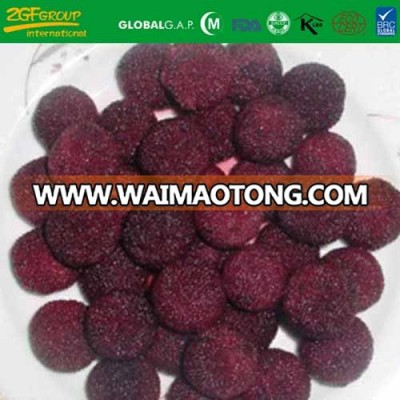IQF Frozen Myrica Rubra