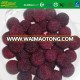 IQF Frozen Myrica Rubra