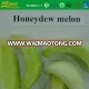 BRC KOSHER HACCP quick iqf green hami melon bulk packing