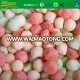 IQF frozen mixed melon ball