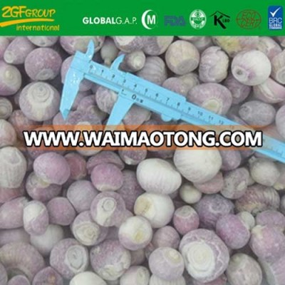 2018 new season whole red shallot for export