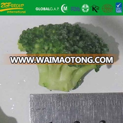 pinguin broccoli - vegetable products