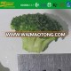 pinguin broccoli - vegetable products