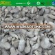 IQF frozen baby oyster mushroom