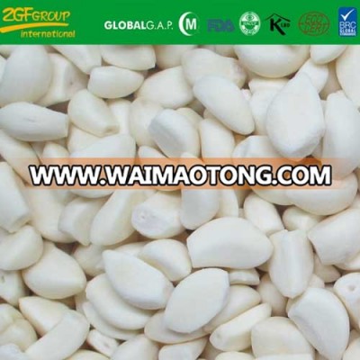 Chinese wholesale natural garlic for sale to importers