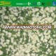 IQF frozen parsley+diced garlic 50% for each