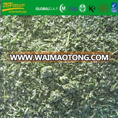IQF frozen parsley