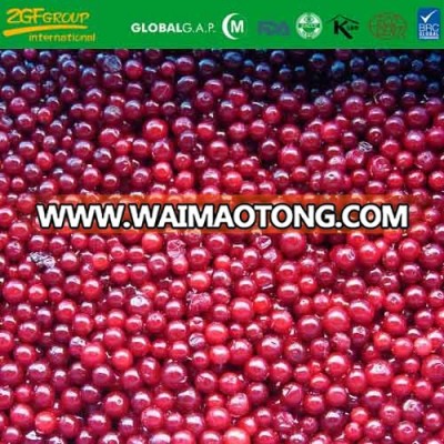 IQF frozen lingon berry