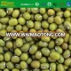 dry high quality mung bean carton packing