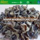 dried tree black fungus edible black fungus