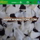 IQF high quality horse radish bulk packing