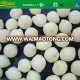 high quality deep frozen baby onions bulk packing brc